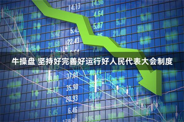 牛操盘 坚持好完善好运行好人民代表大会制度