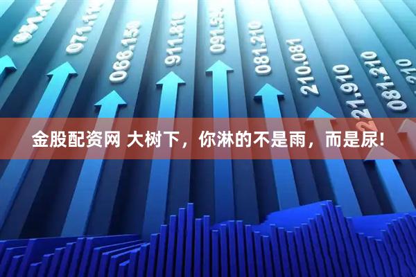 金股配资网 大树下，你淋的不是雨，而是尿!