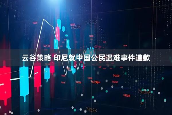 云谷策略 印尼就中国公民遇难事件道歉