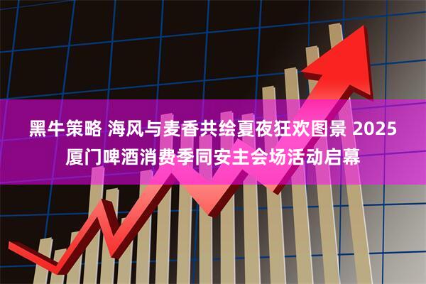 黑牛策略 海风与麦香共绘夏夜狂欢图景 2025厦门啤酒消费季同安主会场活动启幕