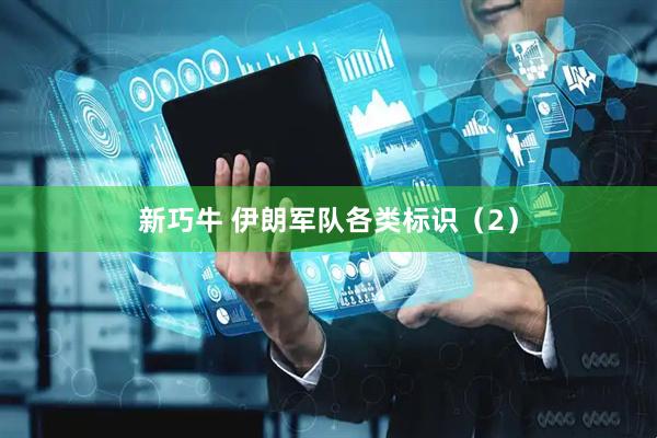 新巧牛 伊朗军队各类标识（2）